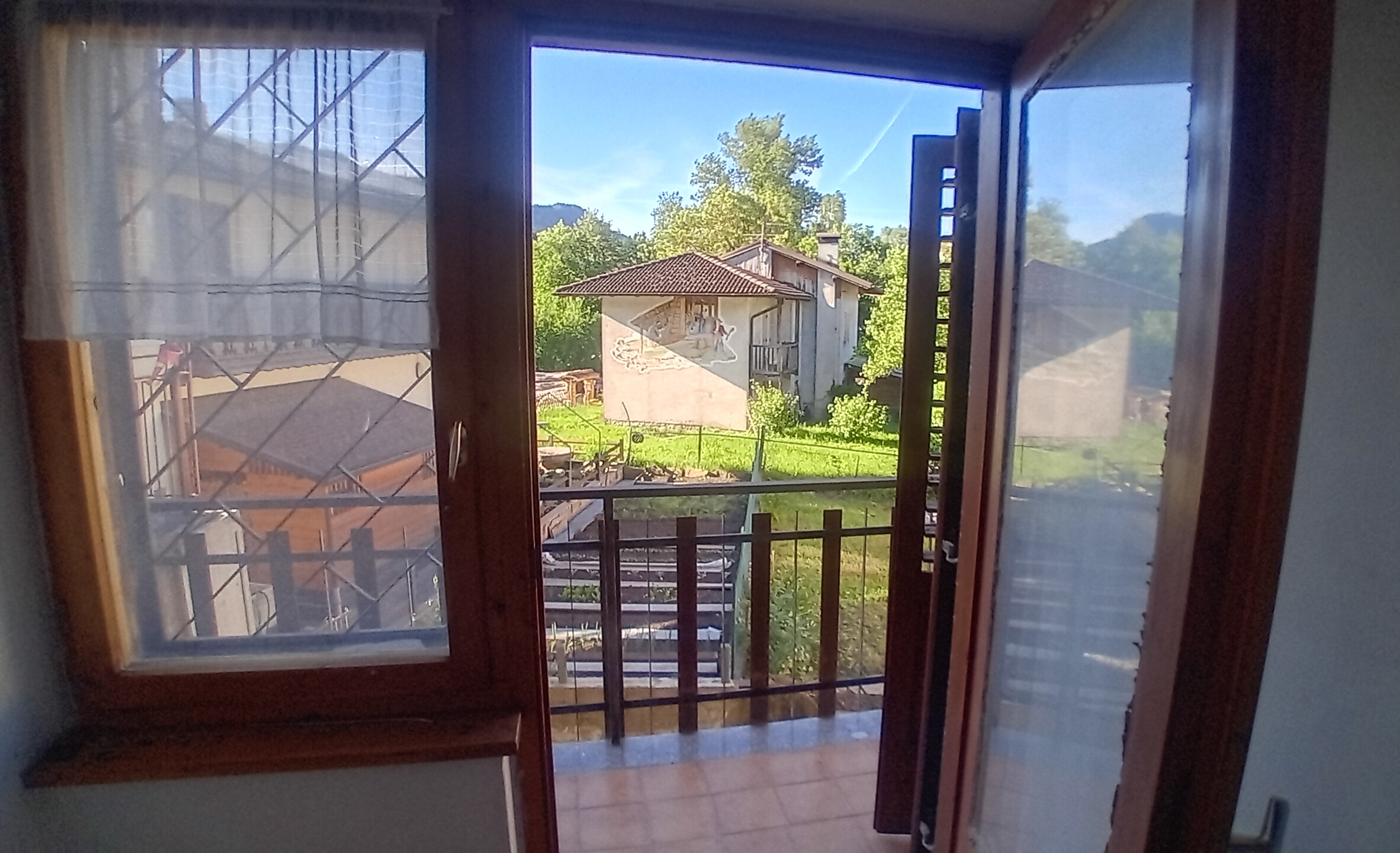 20250529_081100.jpg